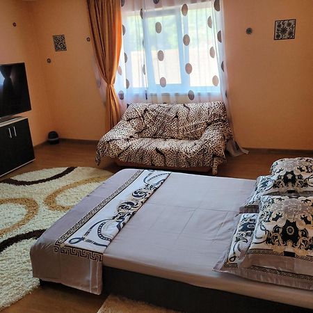 Vila La Izvorul Putinei Хацег Номер фото