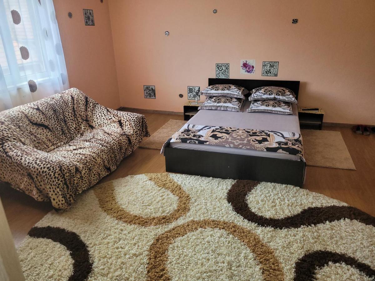 Vila La Izvorul Putinei Хацег Экстерьер фото