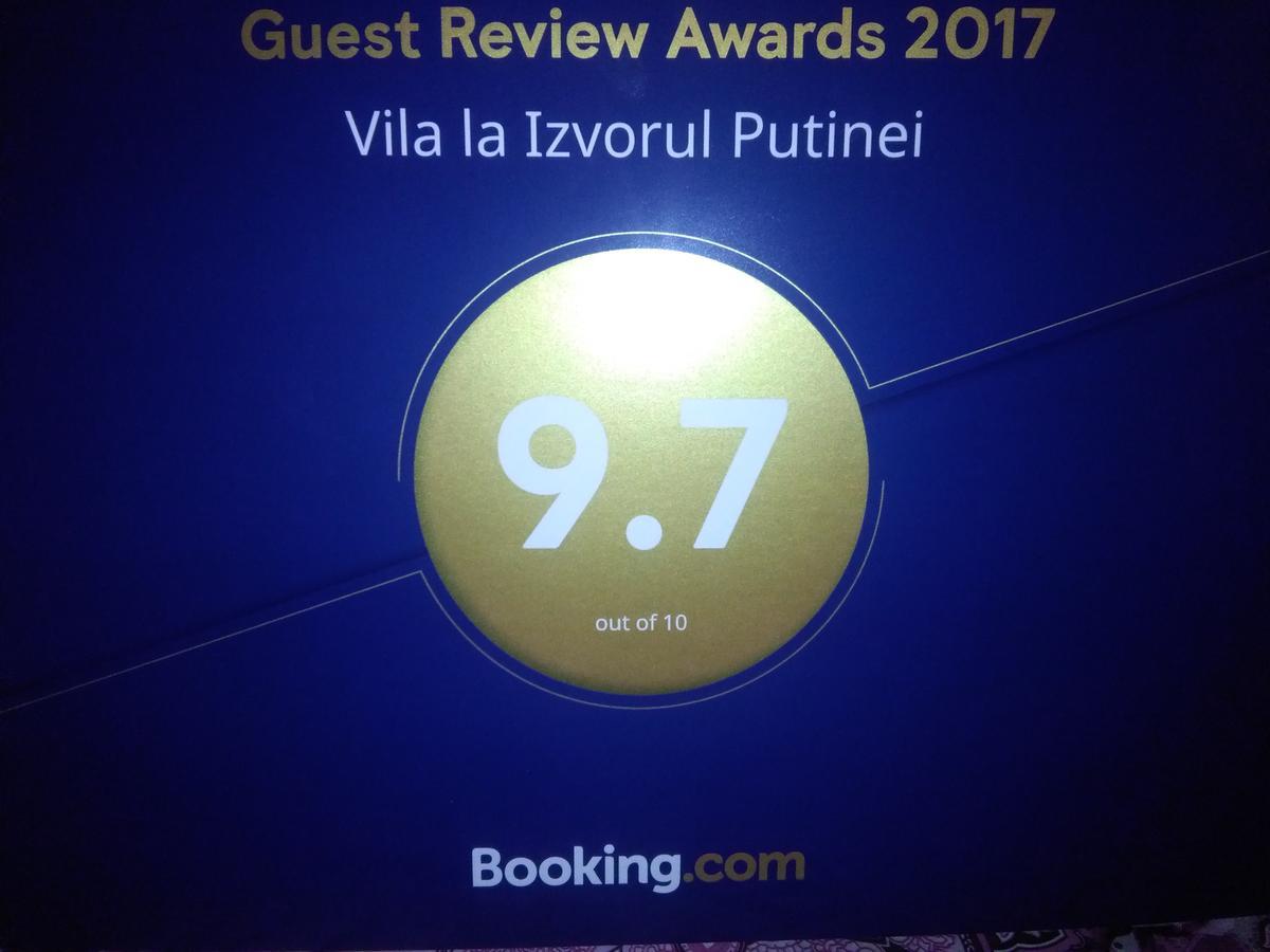 Vila La Izvorul Putinei Хацег Экстерьер фото