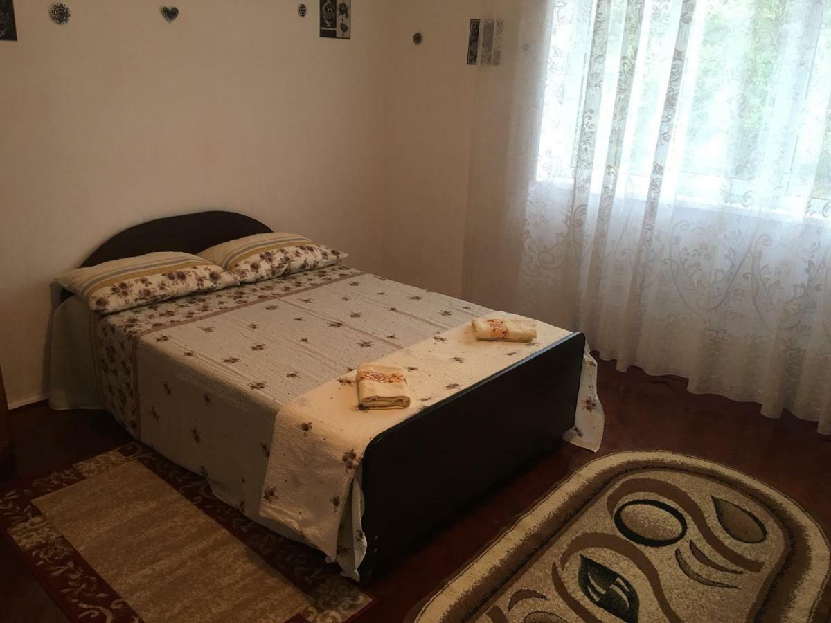 Vila La Izvorul Putinei Хацег Экстерьер фото