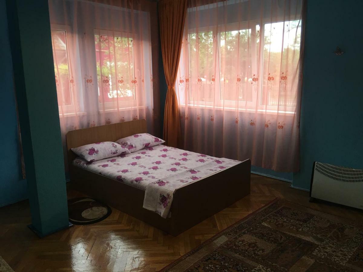 Vila La Izvorul Putinei Хацег Экстерьер фото